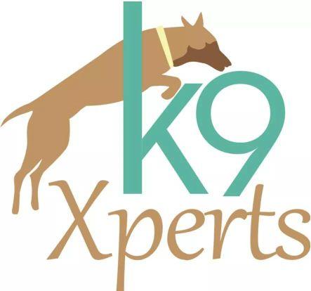 k9XpertsMx Profile Picture