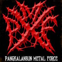 P.BUN METAL FORCE (@pbunmetalforce) 's Twitter Profile