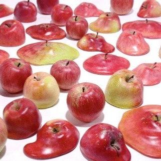 1941198Ryu's profile picture. 