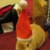 Stuff On A Rabbit (@stuff0narabbit) Twitter profile photo
