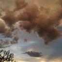 Dorothy Wiley - @dorothy_dillon - Twitter