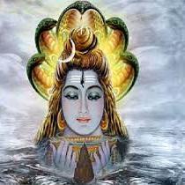 +917791882231