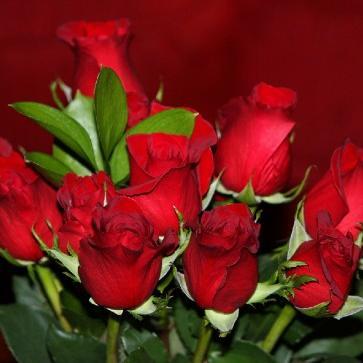 muthumuth1's profile picture. 