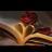 Rses300's profile image