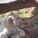 chelle green - @chellegreen722 - Twitter