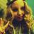 domivividagi's profile image