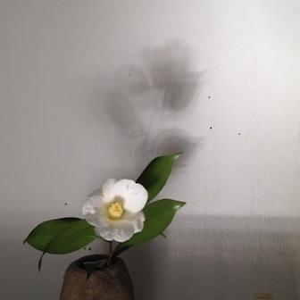 odaさんのプロフィール画像