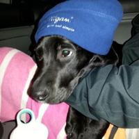 Brett Becklin (@brett_becklin) 's Twitter Profile