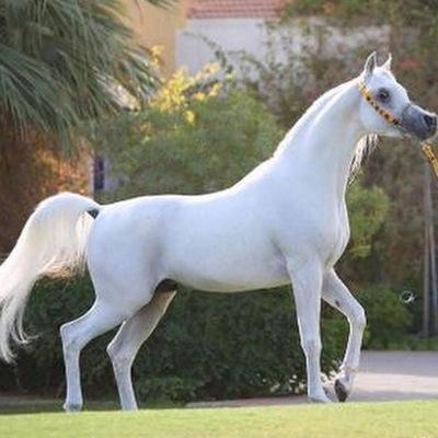 احب الروقان ☺️ اكره كل انسان يخدعني ويكسر قلبي