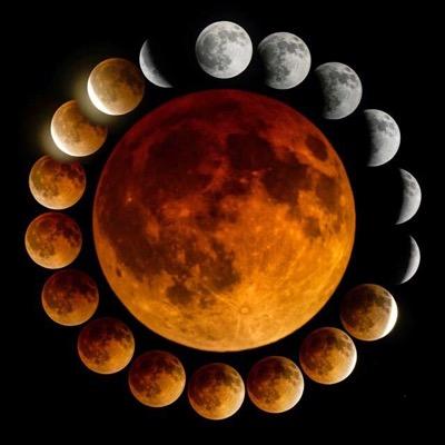 __passionnite's profile picture. ➳ late night thoughts & dull stars