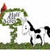 Dayle Haworth (@halfassacres) Twitter profile photo Dayle Haworth (@halfassacres) Twitter profile photo