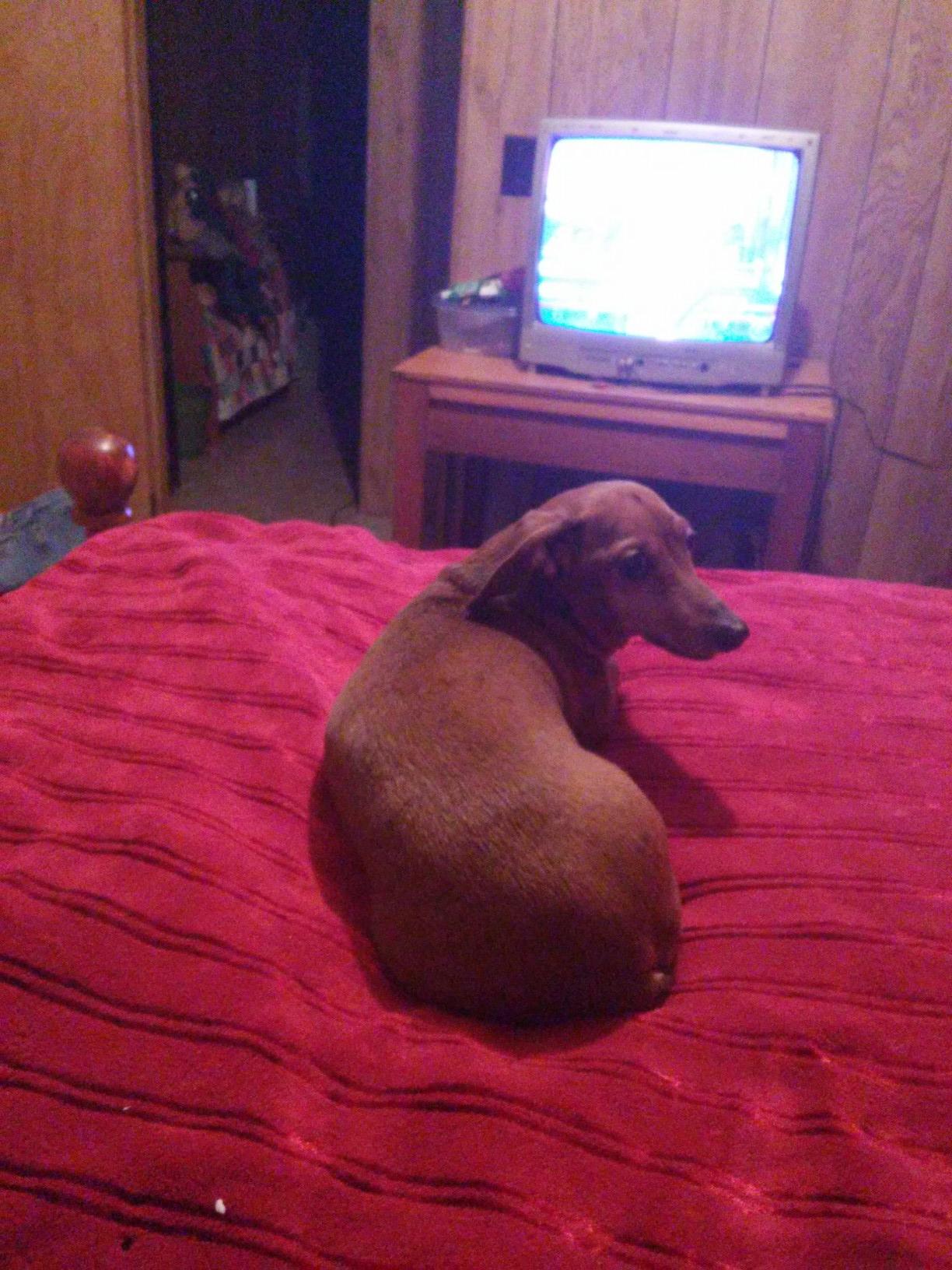 chris19754744's profile picture. 