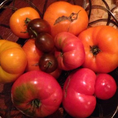 kvo952's profile picture. 