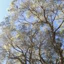 Omar Moore - @umarmoore30 - Twitter