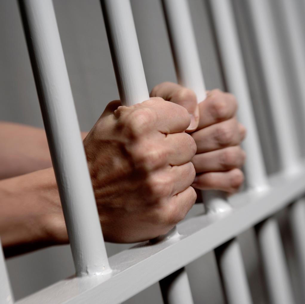 TrumptonCrime's profile picture. Helping Trumpton by helping myself to whatever's not nailed down in Chigley and Camberwick Green