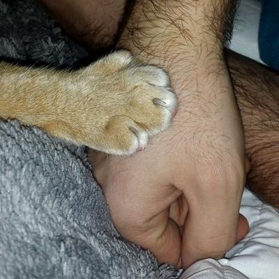 jHagandas's profile picture. 