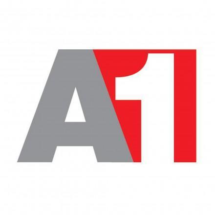 A1 Website Design and Hosting services.