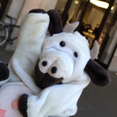 MmeVache's profile picture. Follow the crazy adventures of Madame Vache and her friends around the world!