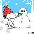 kninomiyahyper's profile picture. 