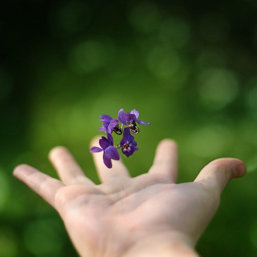 laconiac's profile picture. …….