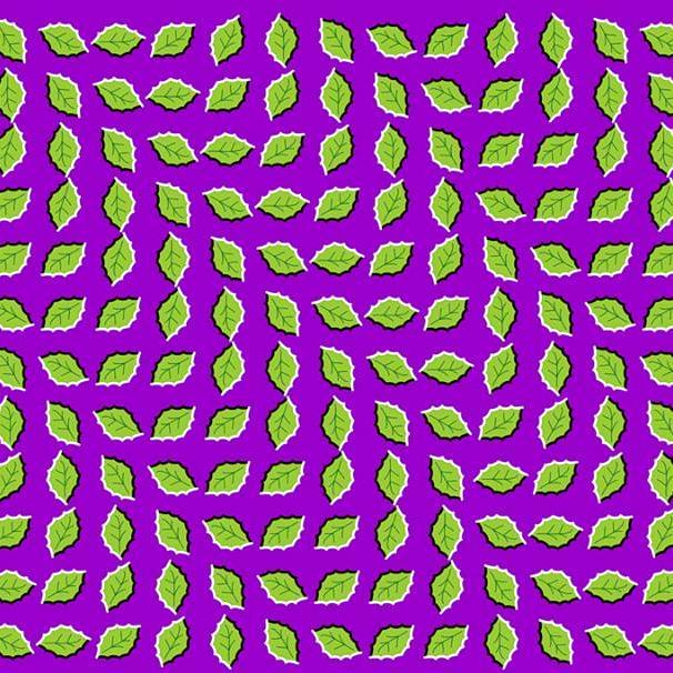 AhmadChu's profile picture. 