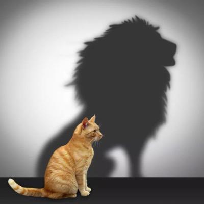 #Ignite2016 : if it doesn't challenge you, it wont change you.
