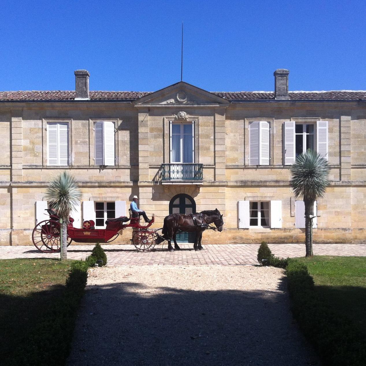 Magnifique Vignoble situé à 600 mètres de la Citadelle de Blaye.