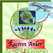 RASINN ANLER(@RasinAnler) 's Twitter Profile Photo