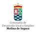 Concej Empleo Molina (@empleomolina) Twitter profile photo