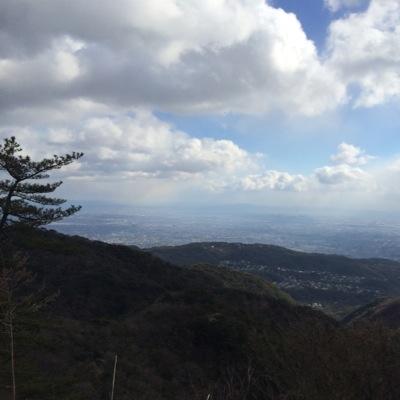 同志社大学出身/同志社香里高等学校出身/神奈川県川崎市在住