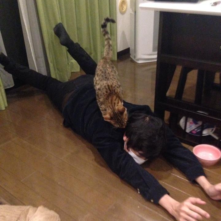 ２人でGarry's Modの実況やってます→http://t.co/Hlm3fUdUua　　　　踊ってみた、歌ってみた、弾いてみた、ゲーム実況を観ます。 漫画/洋楽/邦楽/小説 趣味が合いそうな人をフォローしてます。無言フォローごめんなさい(´・ω・｀)