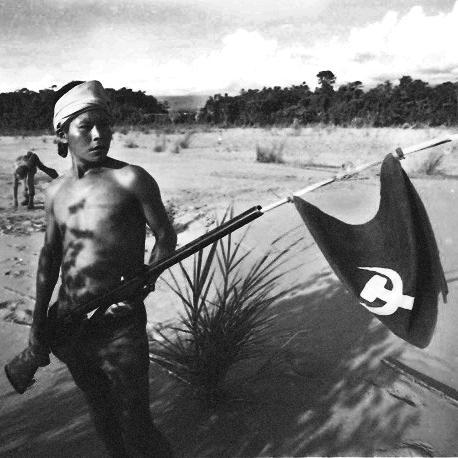 RoteWut's profile picture. El mundo está lleno de emprendedores engominados que matar.