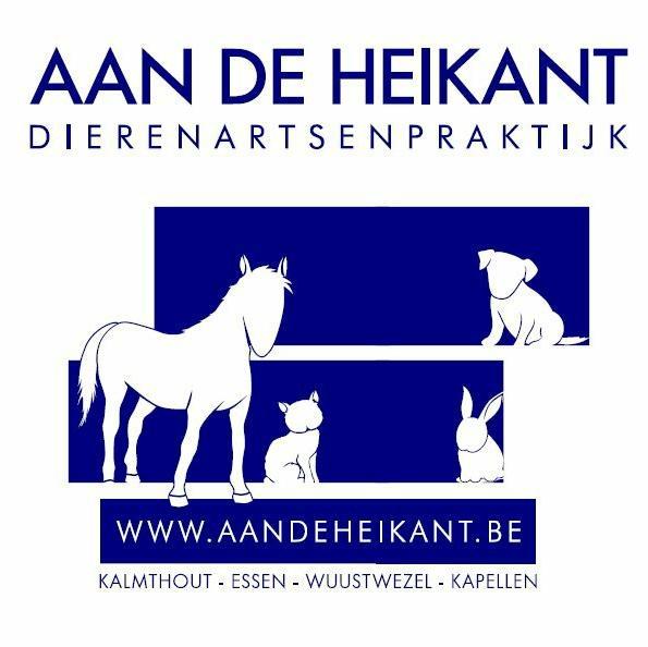 Gemotiveerd team bestaande uit 9 dierenartsen en 2 assistentes die uw huisdieren op 4 locaties zo goed en snel mogelijk helpen! 24/7 bereikbaar op 03/666.62.63