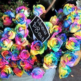 kerasmith96's profile picture. 