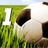 NUMBER1Sport's profile image
