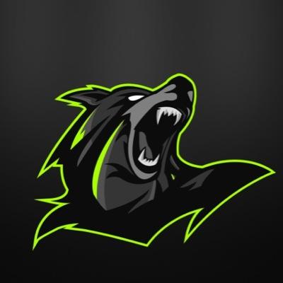 SlayersTeam's profile picture. Team Slayers is a MLG pro team that are sponsored by : @cinchgaming @gamers_appareal / use 5% off @noscopeglasses wen using TripleX
