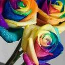 leona jacobs - @leonagj2003 - Twitter