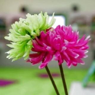 اللهم أجعل هذا  الحساب🌹[ صدقة جارية ]🌹عني وعن والديِّ ومتابعيني وكل من يُعين على نشر تغريداتي، ، سبحان الله وبحمده سبحان الله العظيم
