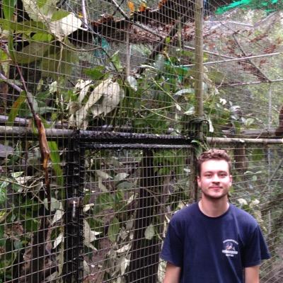 Blogger @ https://t.co/qj8LZBvJun

Security Professional // Pen Tester // Security Researcher // Threat Intelligence