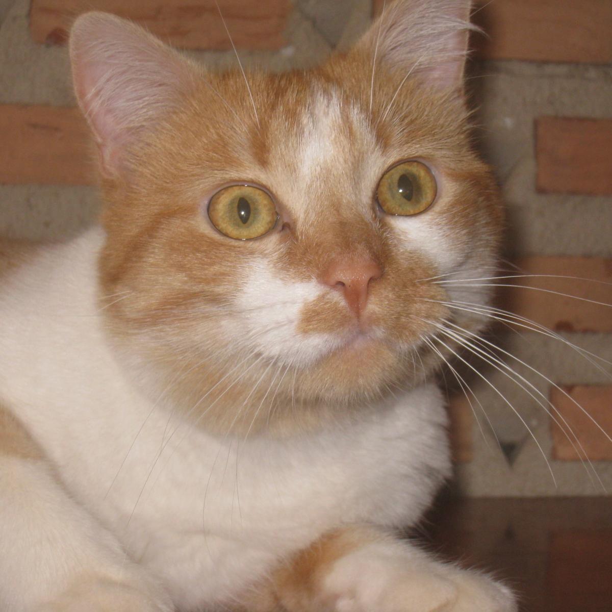 emilioaban's profile picture. 😀