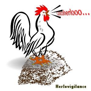 Collectif Herlovigilance