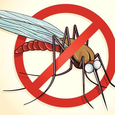 MalariaP's profile picture. Get together to stop malaria!