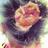 saraalcaide_'s profile image