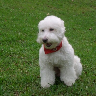 Profile Picture of Edward Lin 阿良 🏳️‍🌈 (@edward_lin) on Twitter