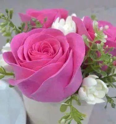 ammohanad54's profile picture. 