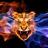 calser_1's profile image