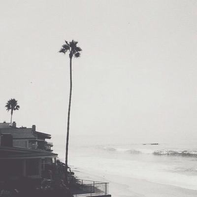 chiilpics's profile picture. 