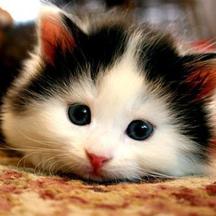 AnnatCraven's profile picture. 