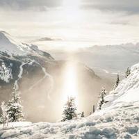 해찬솔 (@originphj) 's Twitter Profile