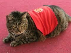 #Islaam♥♥♥#MUFC♥ #Cats♥#Food♥         BBM: 276A8701 ; PSN ID: kiajadwat96 DOB: 20/04/1996